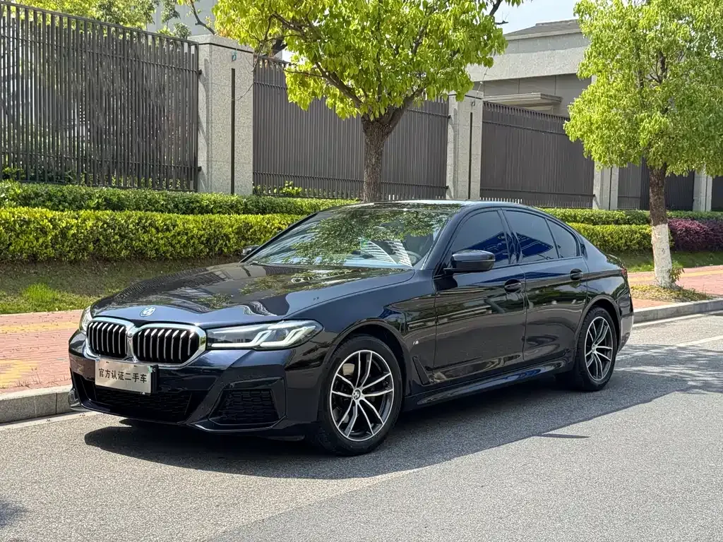 BMW 5 Series (Import)