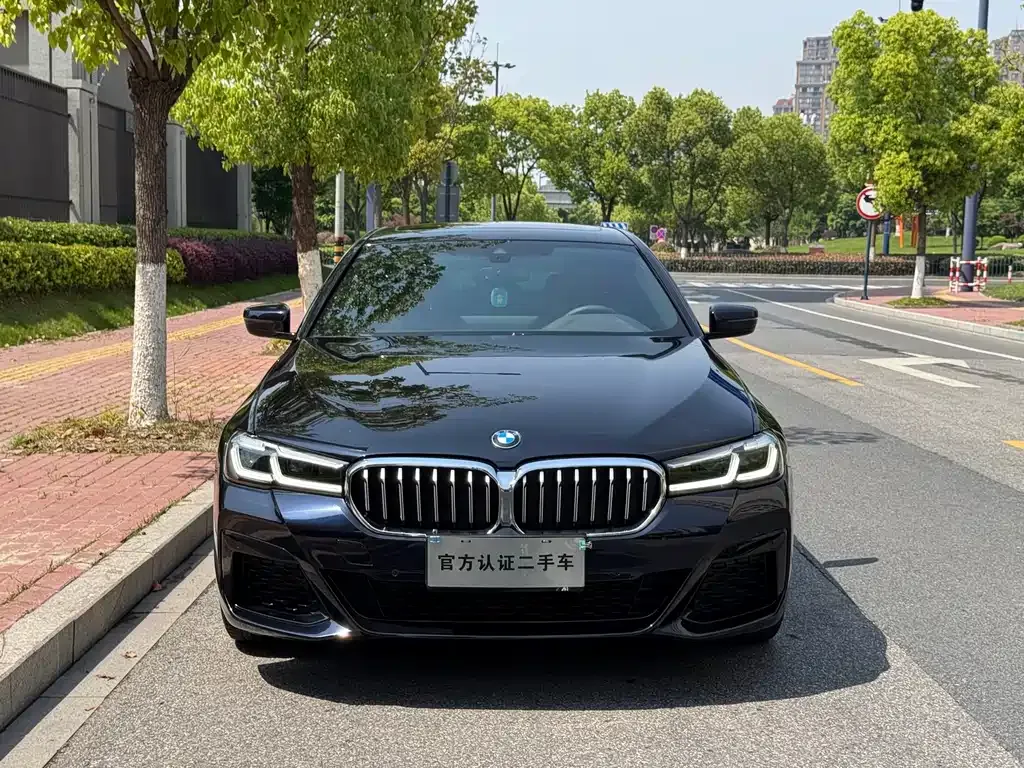 BMW 5 Series (Import) 2023 из CN, фото 8