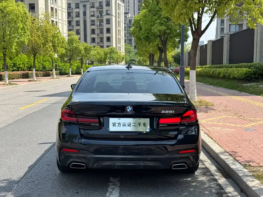 BMW 5 Series (Import) 2023 из CN, фото 7