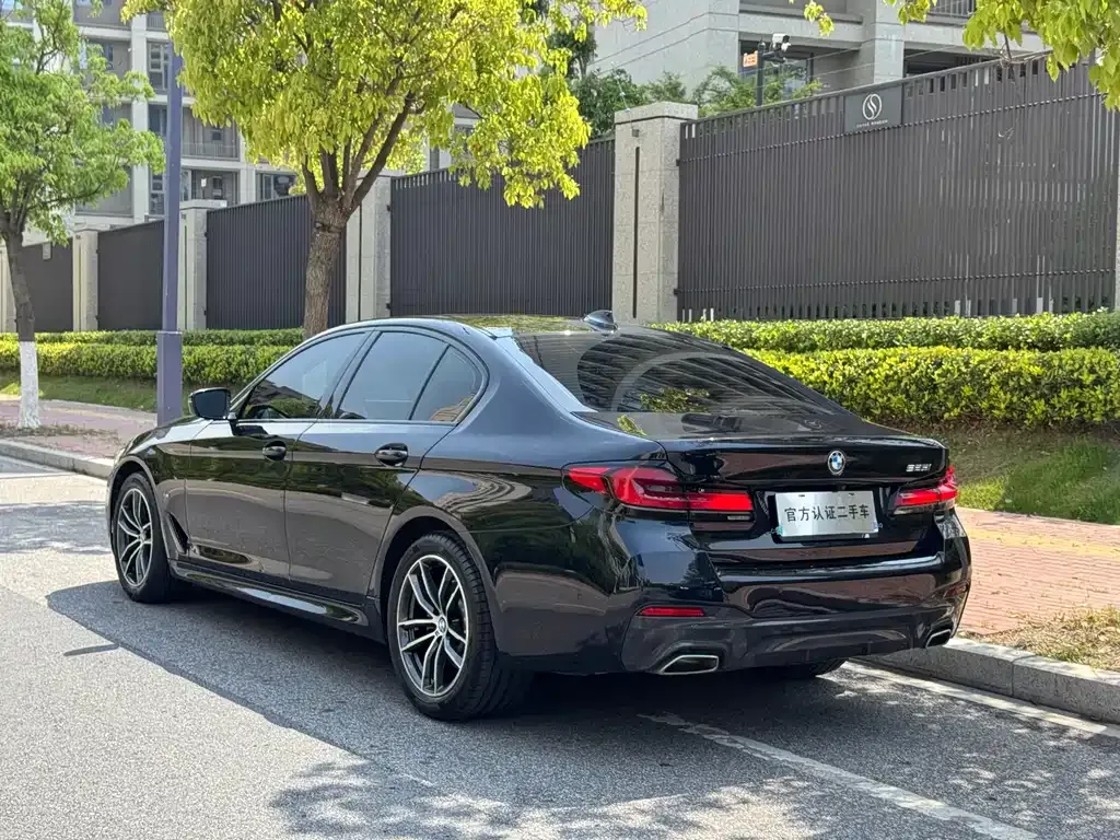 BMW 5 Series (Import) 2023 из CN, фото 6