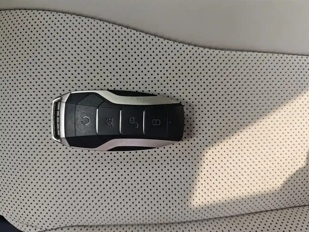 BYD PLUS New Energy — фото 4