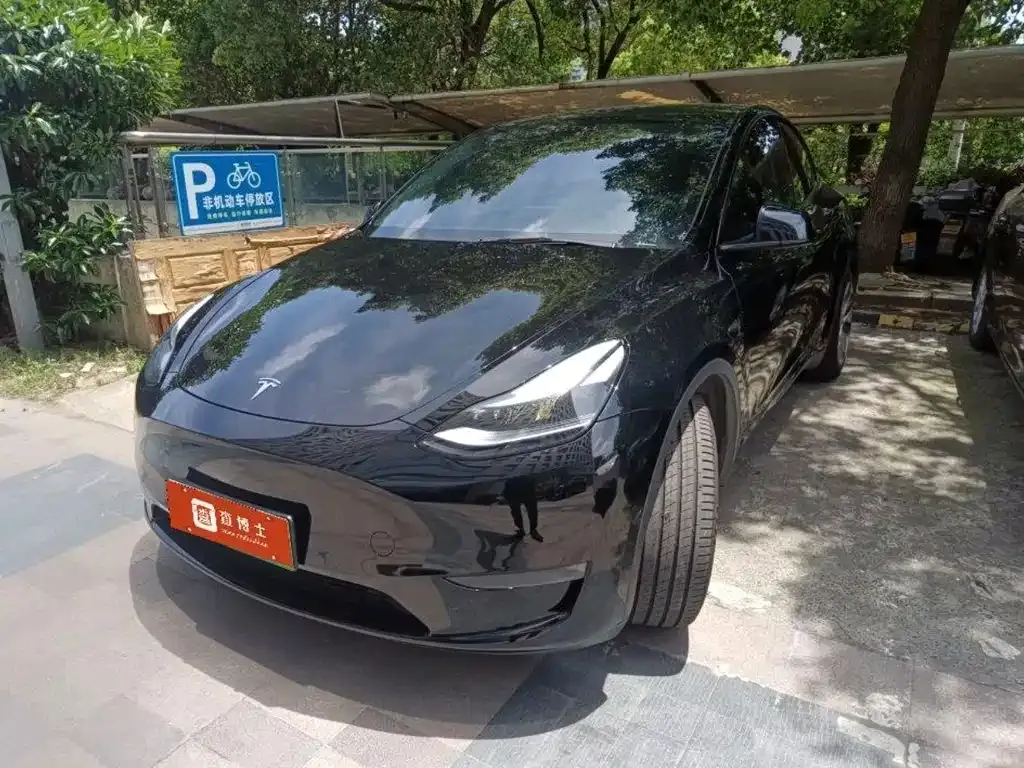 Tesla Model Y — фото 1