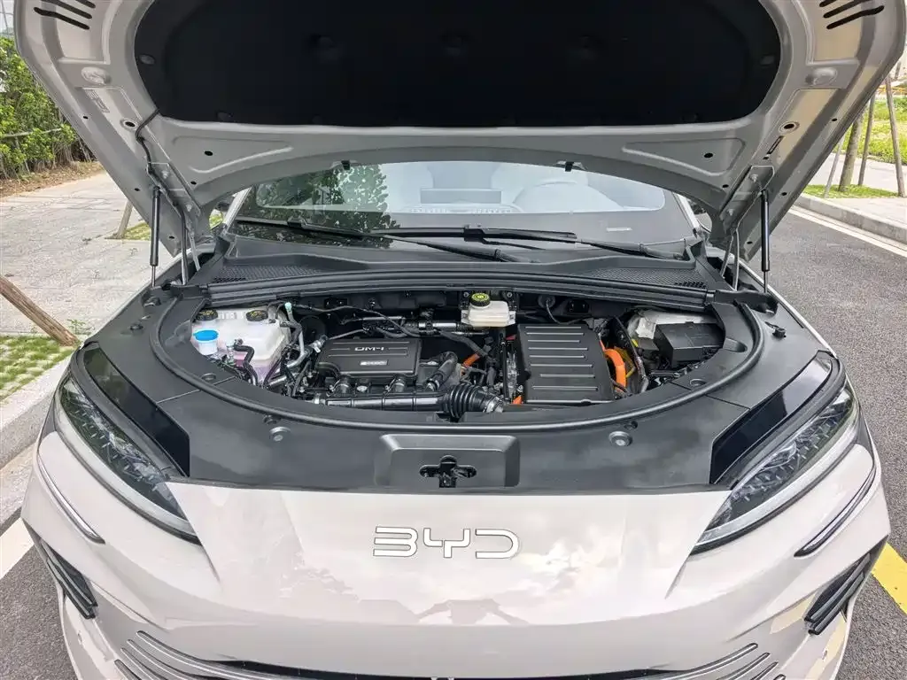 BYD PLUS New Energy — фото 9