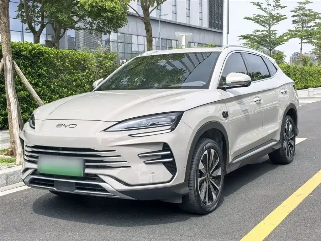 BYD PLUS New Energy — фото 3