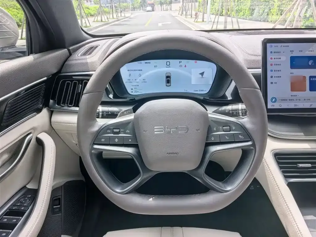 BYD PLUS New Energy — фото 2
