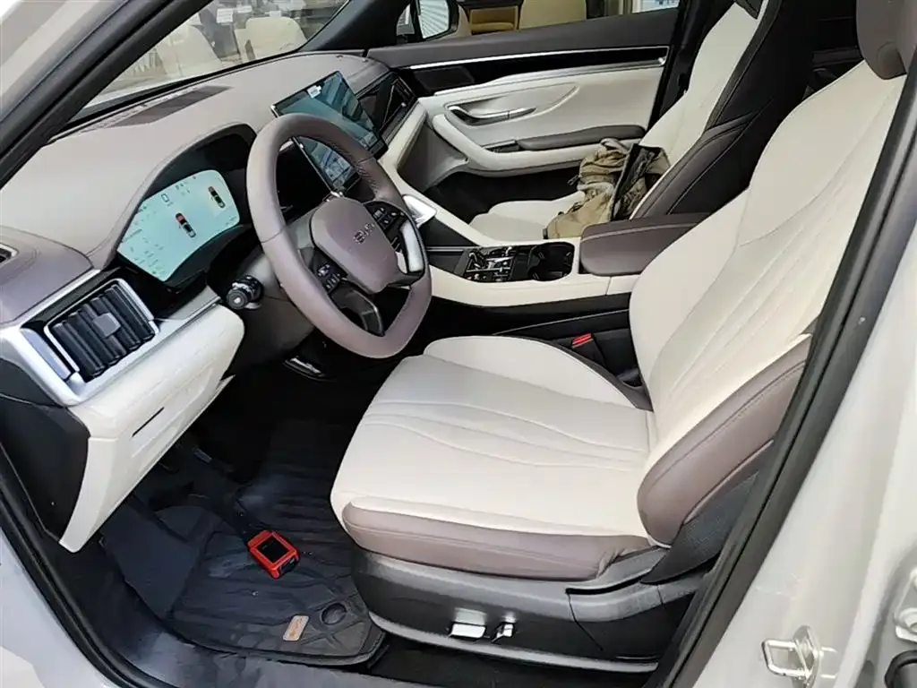 BYD PLUS New Energy — фото 4