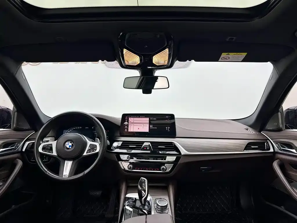BMW 5 Series 2022 из CN, фото 5