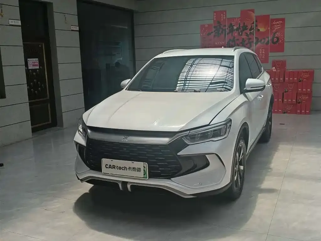BYD Pro New Energy — фото 1