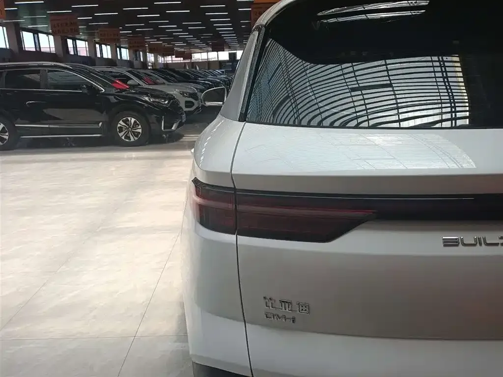 BYD Pro New Energy — фото 3