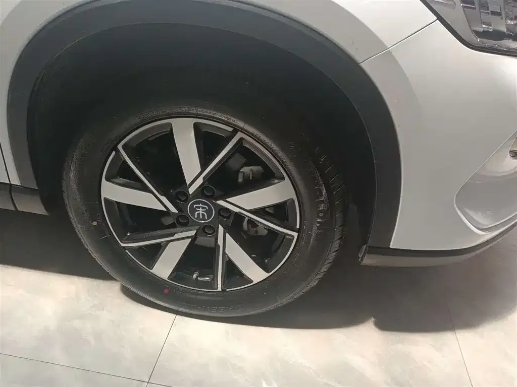 BYD Pro New Energy — фото 2