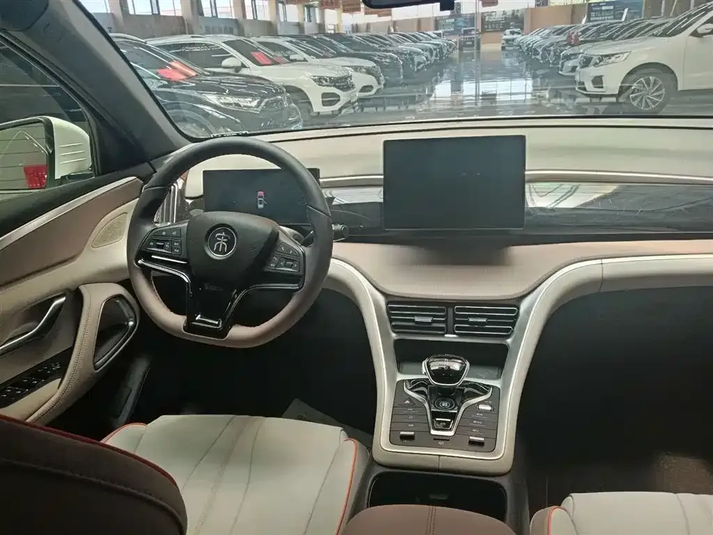 BYD Pro New Energy — фото 6