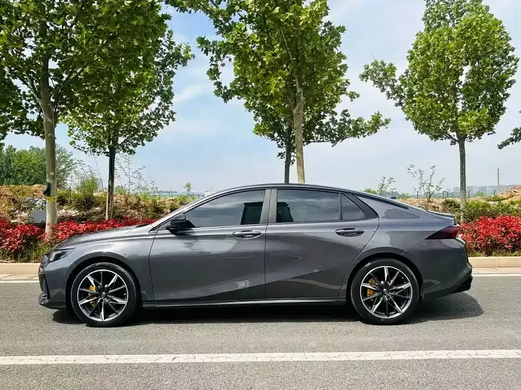 GAC Motor Shadow Leopard 2023 из CN, фото 8