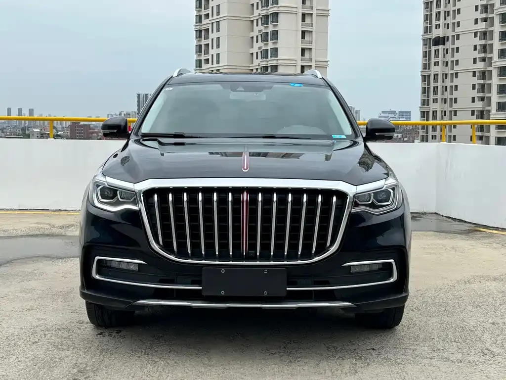 Hongqi HS7 2022 из CN, фото 7