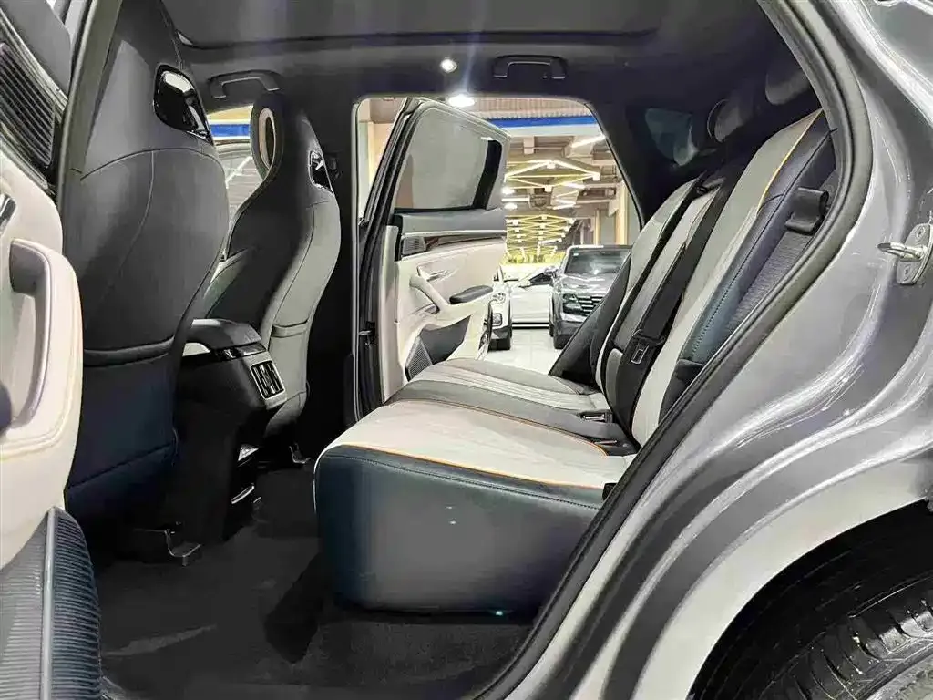 BYD PLUS New Energy — фото 3