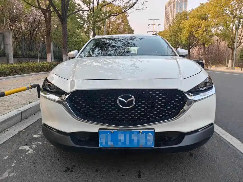 Mazda CX-30 2021 из CN, фото 6