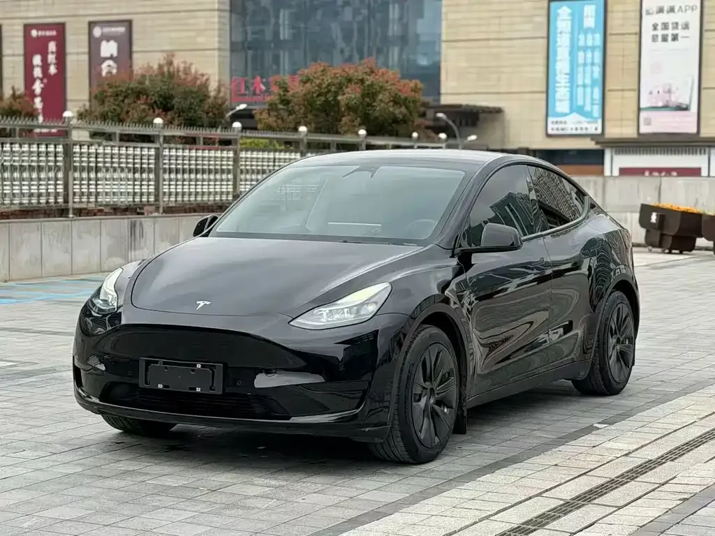 Tesla Model Y — фото 1