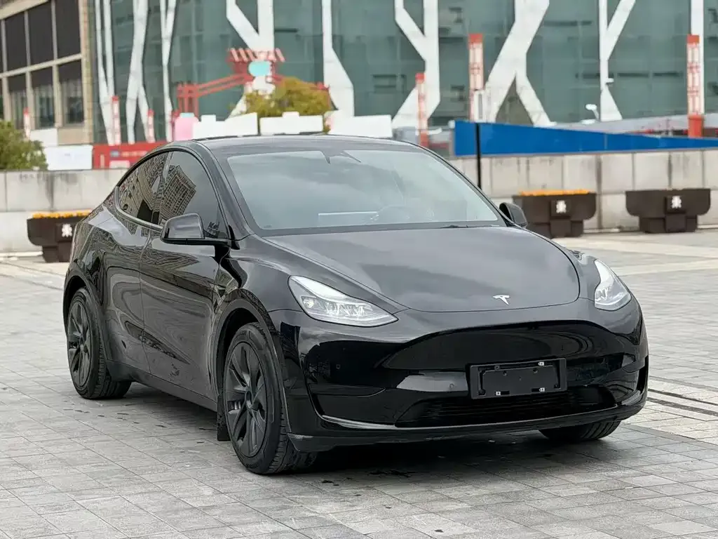 Tesla Model Y — фото 9
