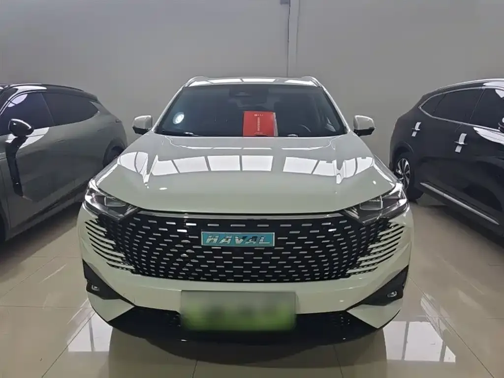 Haval H6 New Energy 2024 из CN, фото 2