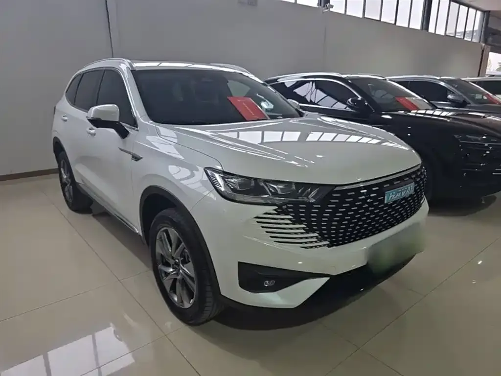 Haval H6 New Energy 2024 из CN, фото 9