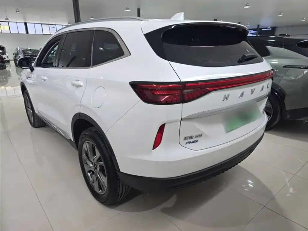 Haval H6 New Energy 2024 из CN, фото 10