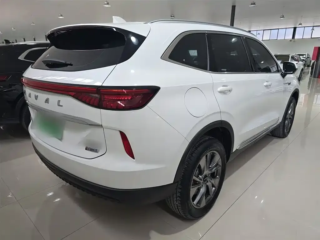 Haval H6 New Energy 2024 из CN, фото 8