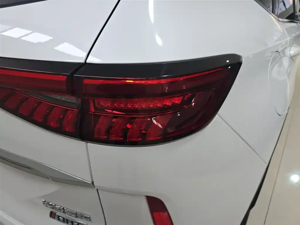 Haval H6 New Energy 2024 из CN, фото 6