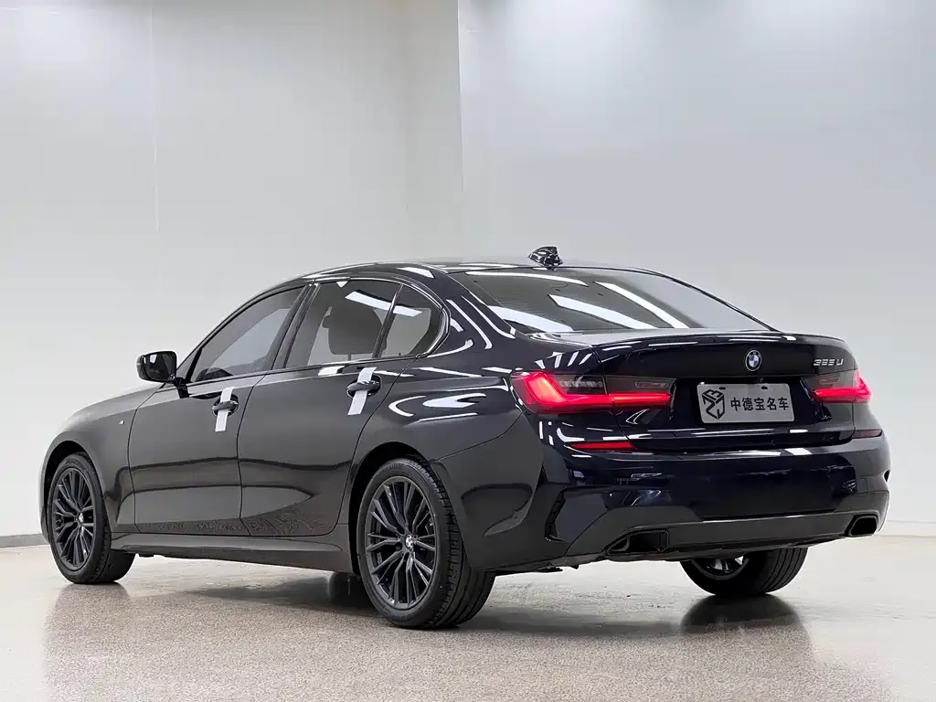 BMW 3 Series 2021 из CN, фото 7