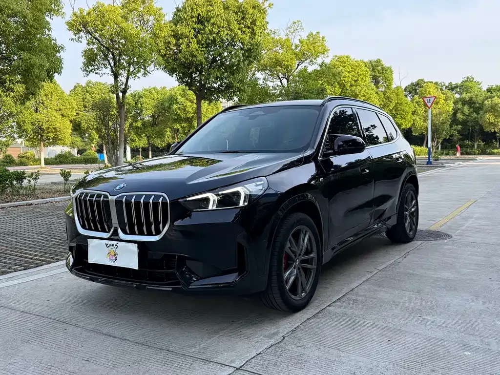 BMW X1 — фото 1