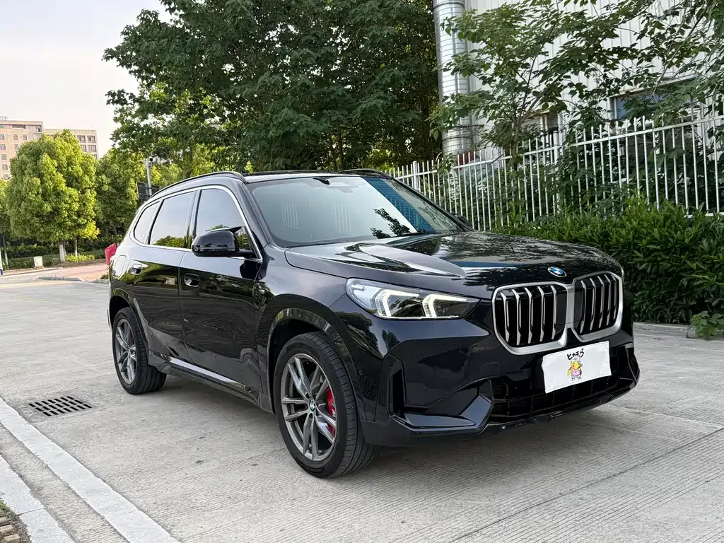 BMW X1 — фото 9