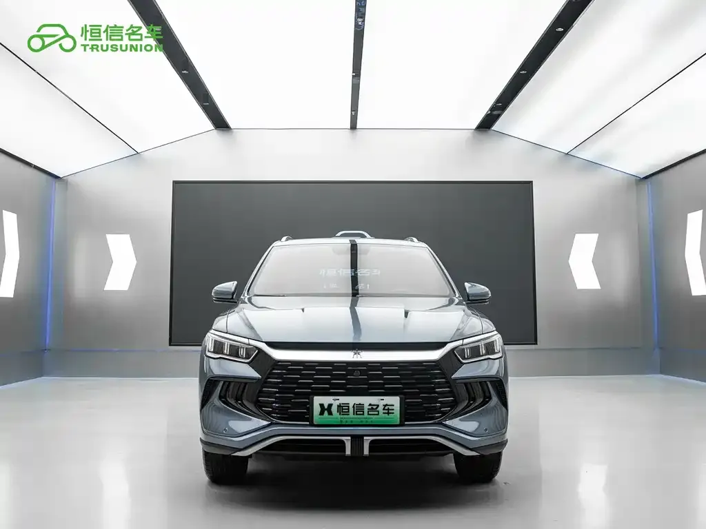 BYD Pro New Energy 2024 из CN, фото 2