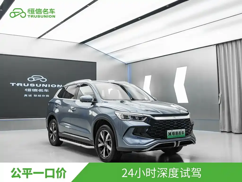 BYD Pro New Energy 2024 из CN, фото 10