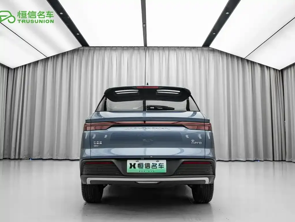 BYD Pro New Energy 2024 из CN, фото 3