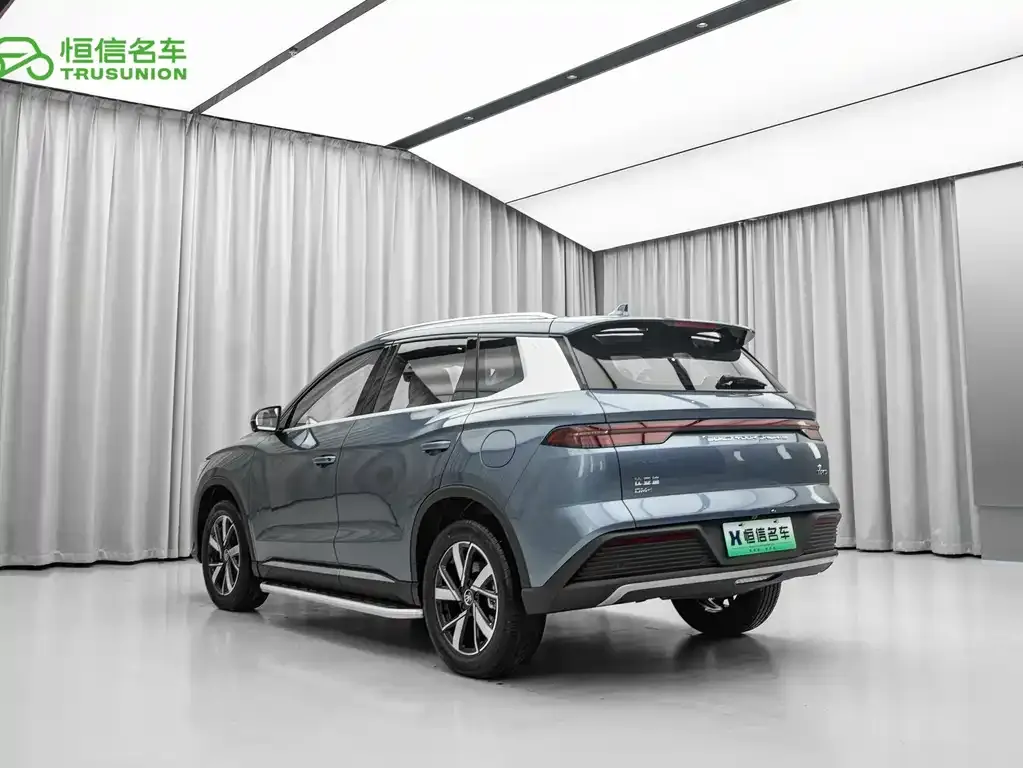 BYD Pro New Energy 2024 из CN, фото 9