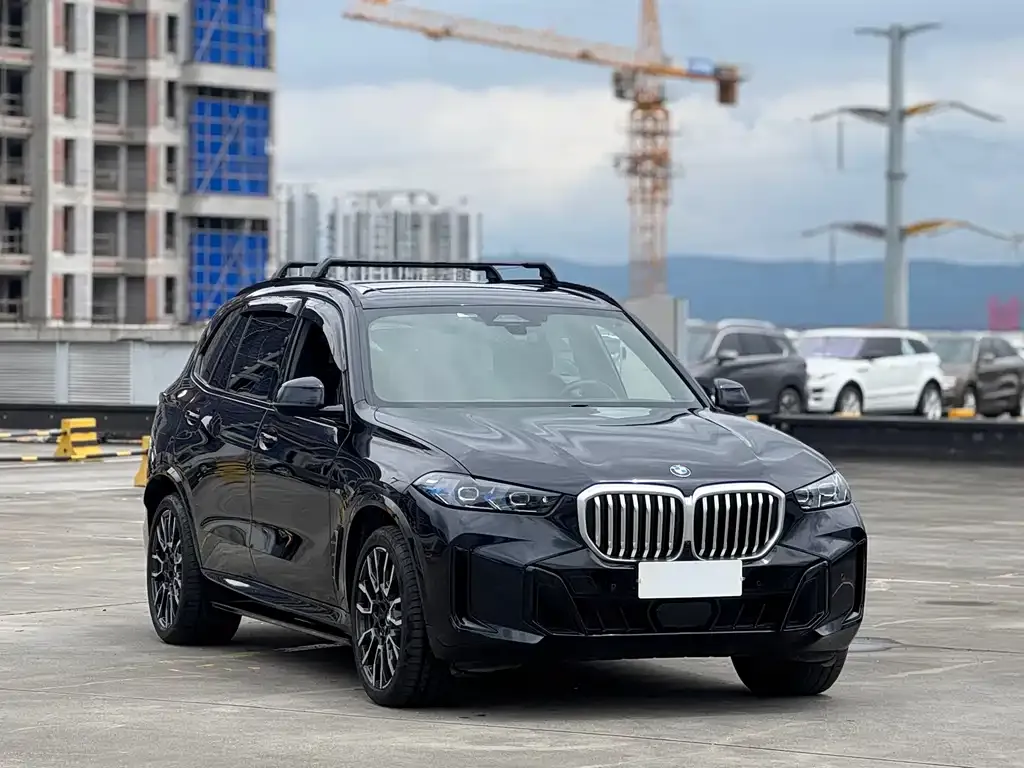 BMW X5 — фото 10