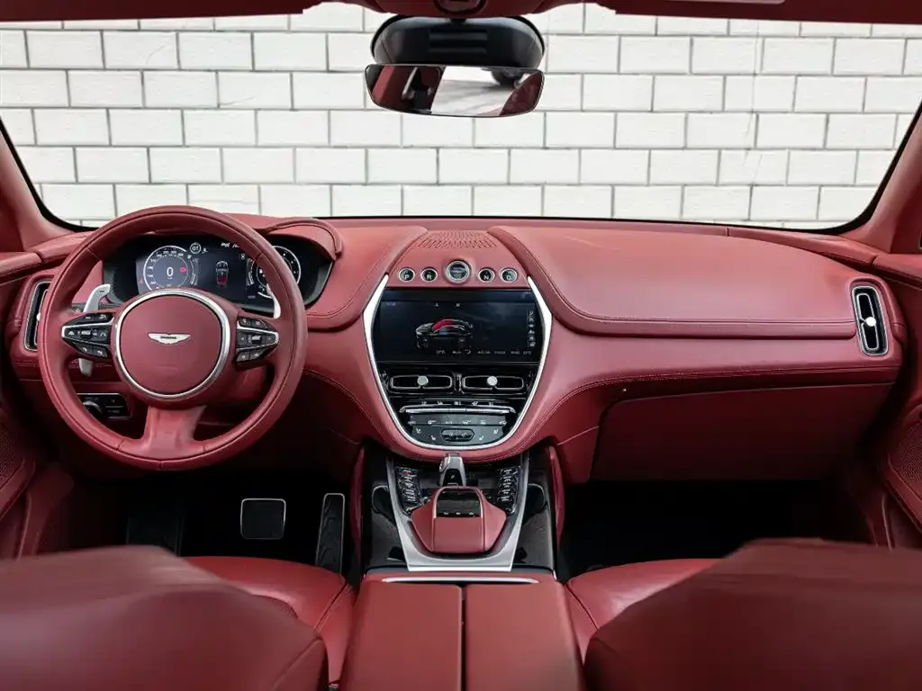 Aston Martin DBX 2022 из CN, фото 4