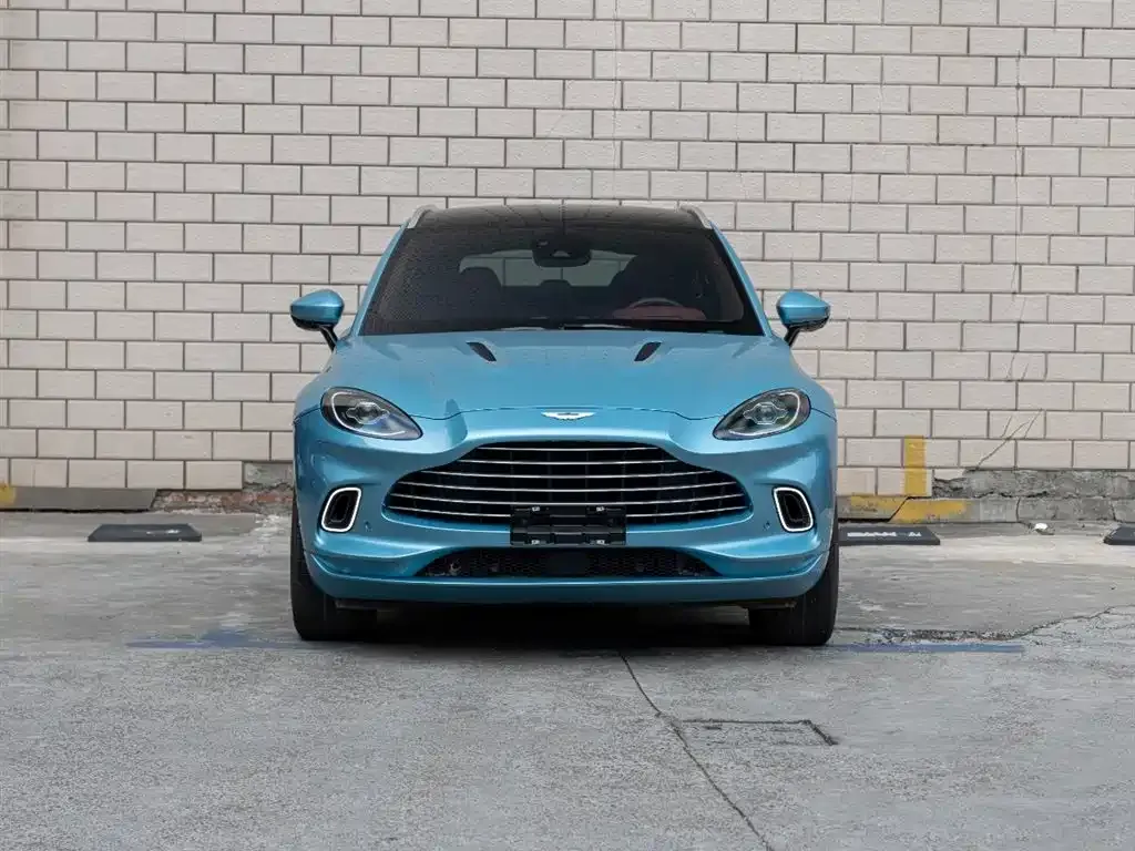 Aston Martin DBX 2022 из CN, фото 7