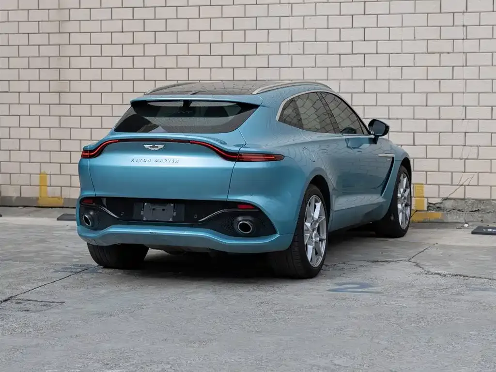 Aston Martin DBX 2022 из CN, фото 6