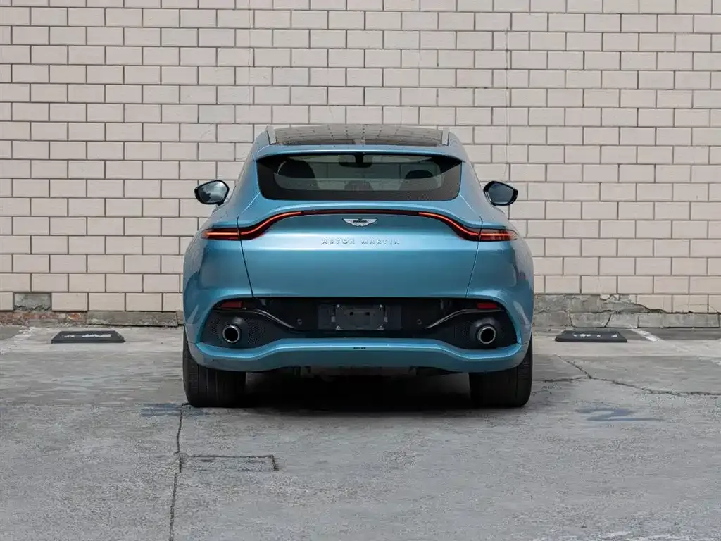 Aston Martin DBX 2022 из CN, фото 9
