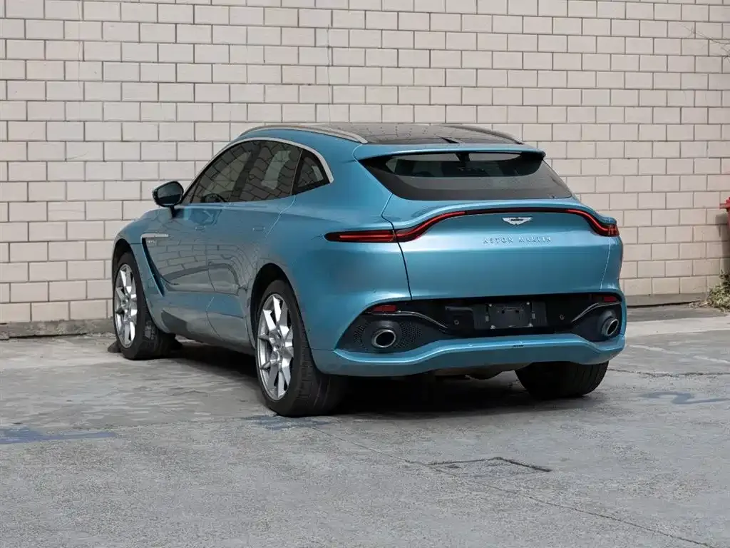Aston Martin DBX 2022 из CN, фото 5