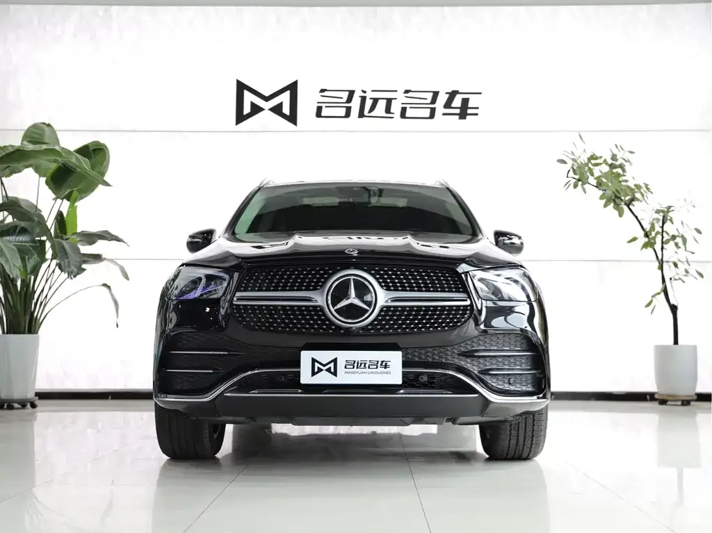 Mercedes-Benz 奔驰GLE(进口) — фото 9