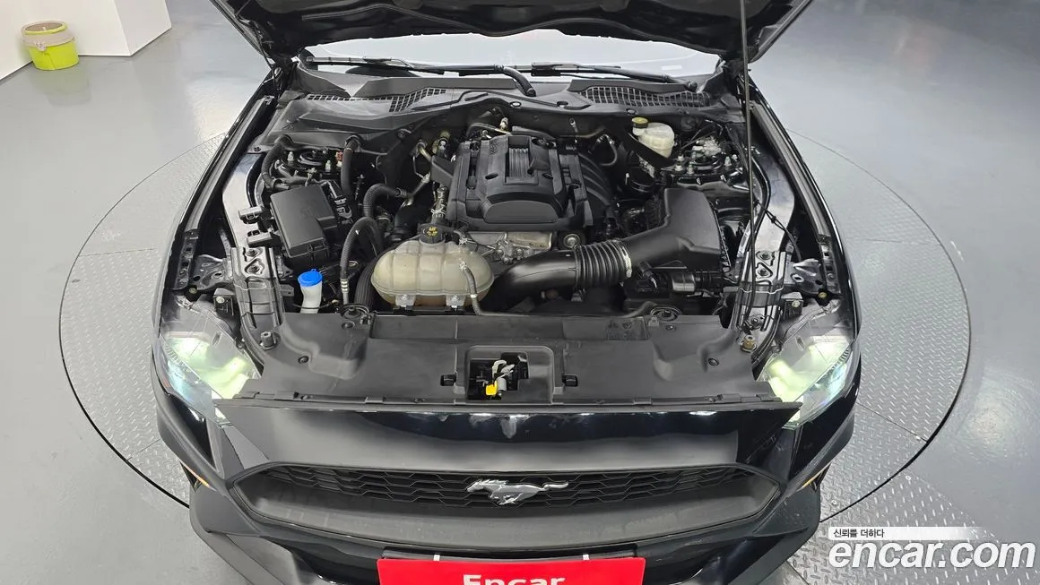 Ford Mustang 2021 из KR, фото 9