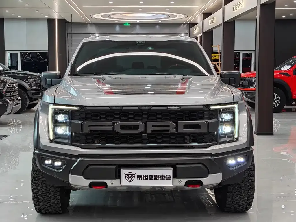 Ford F-150 Raptor 2023 из CN, фото 5