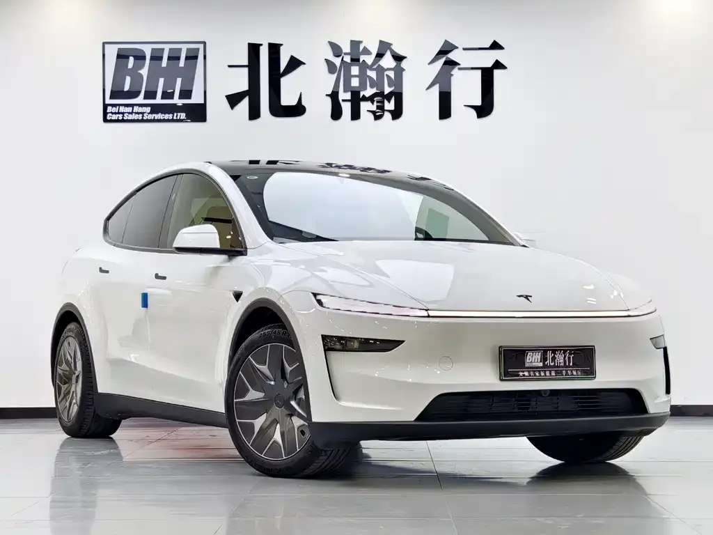 Tesla Model Y L 2025 из CN, фото 9
