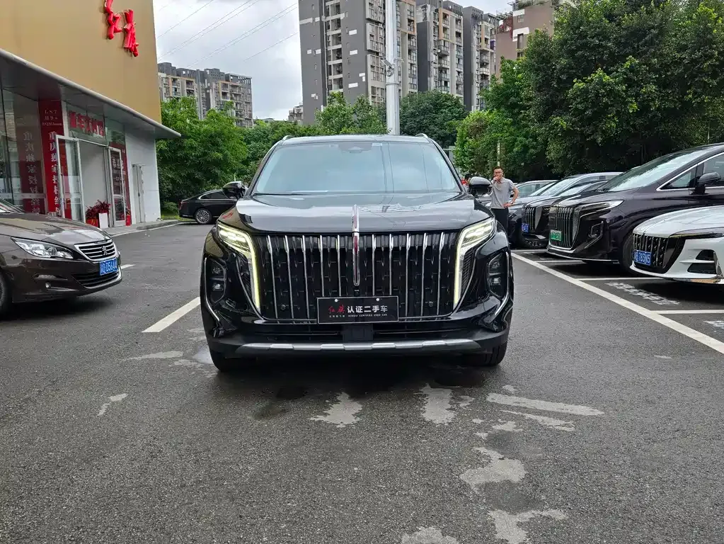 Hongqi HS7 PHEV 2024 из CN, фото 6