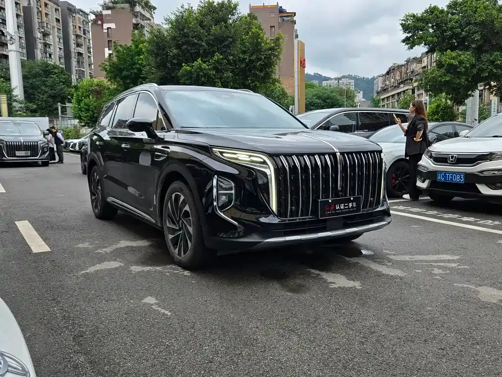 Hongqi HS7 PHEV 2024 из CN, фото 10