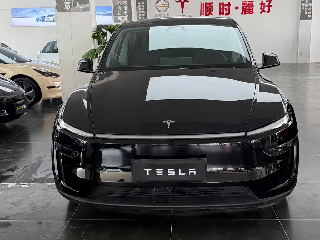 Tesla Model Y — фото 3
