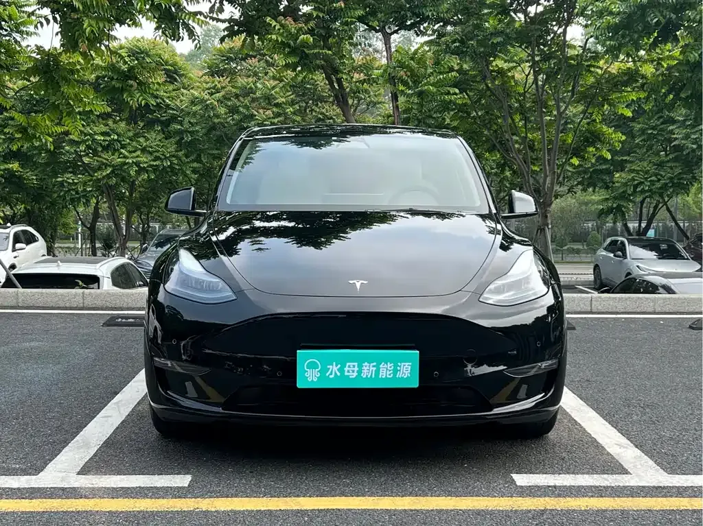 Tesla Model Y — фото 3