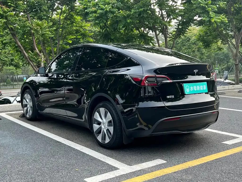 Tesla Model Y — фото 6