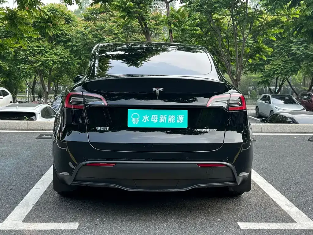 Tesla Model Y — фото 8