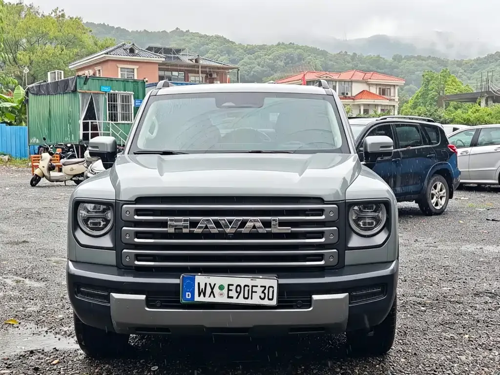 Haval Menglong New Energy 2024 из CN, фото 6